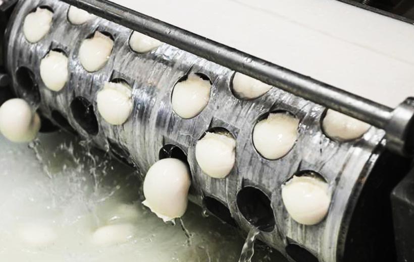 Derivati-del-Latte-MAH