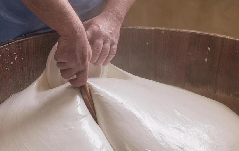 Export Bufalina Germania 2024 - MAH Projects