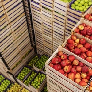 How exporting fresh food products works