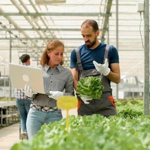 Integrated Logistics in the “food sector”: advantages and technologies used