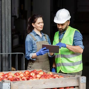 How fresh food export works