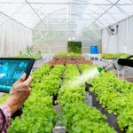 Il futuro del food: biologico, locale, tracciabile